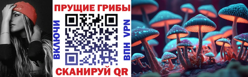 Псилоцибиновые грибы Psilocybine cubensis  omg ССЫЛКА  Новый Уренгой 
